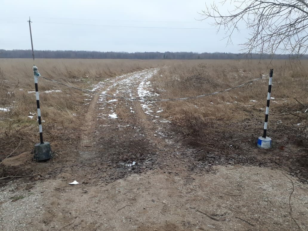 Погода трегубовское сельское поселение