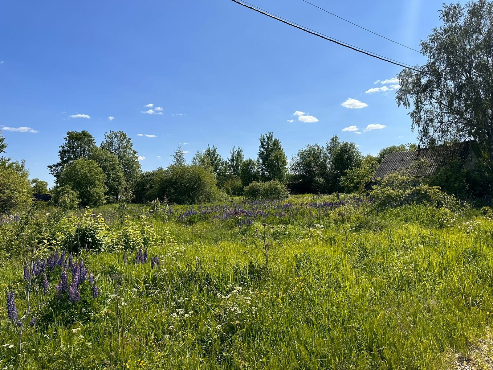 Новгородская Область Купить Участок Ижс