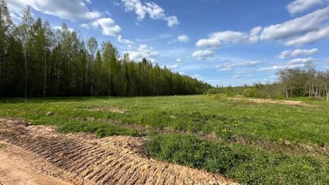 Земельный участок в живописном уголке Маловишерского района - деревне Некрасово