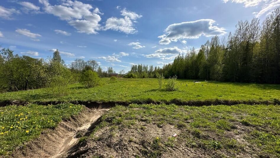 Земельный участок в деревне Некрасово, находящейся в Маловишерском районе