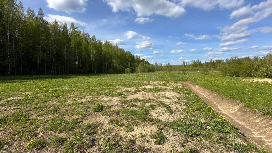 Земельный участок в живописной деревне Некрасово, Маловишерский район