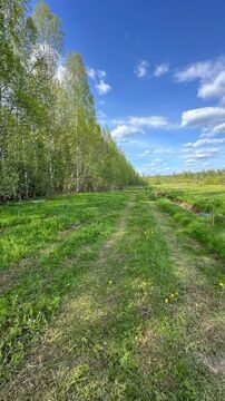 Земельный участок в живописной деревне Некрасово, Маловишерский район